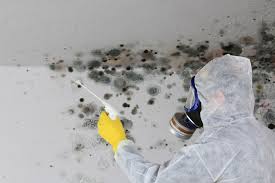 Why You Should Choose Our Mold Remediation Services in Tuscarawas, OH